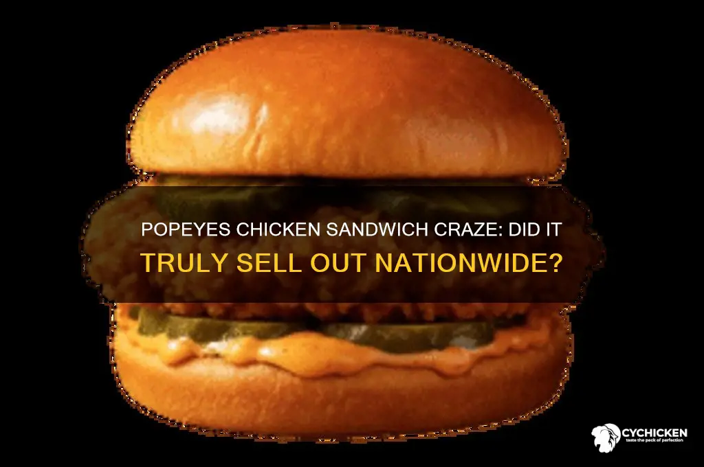 did popeyes chicken sandwich really sell out