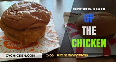 Popeyes Chicken Shortage: Fact or Fiction? The Truth Revealed