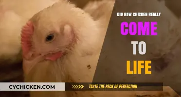 Did Raw Chicken Come to Life? Unraveling the Viral Myth