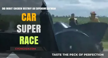Robot Chicken: Batman's Super Race Car Demolished