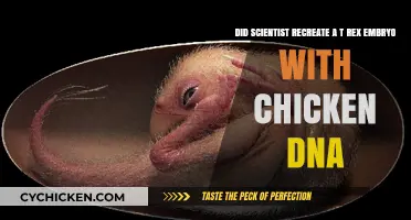 Scientists Revive T-Rex: Chicken DNA Experiment