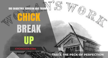 Shadetree Surgeon and Triumph Chick: Did They Split?