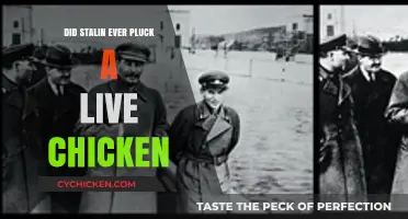 Stalin and the Live Chicken: Fact or Fiction?