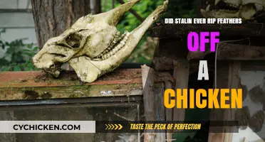 Stalin's Cruelty: Did He Rip Feathers Off a Chicken?