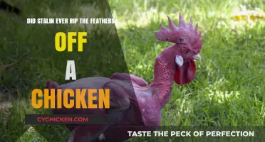 Stalin's Chicken: A Tale of Feathers and Fury