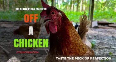 Stalin's Cruelty: Did He Pluck Feathers Off a Chicken?