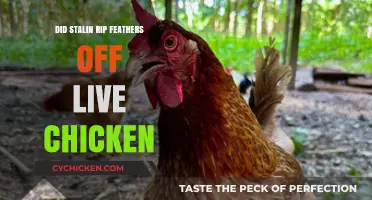 Stalin's Cruelty: Did He Rip Feathers Off Live Chickens?