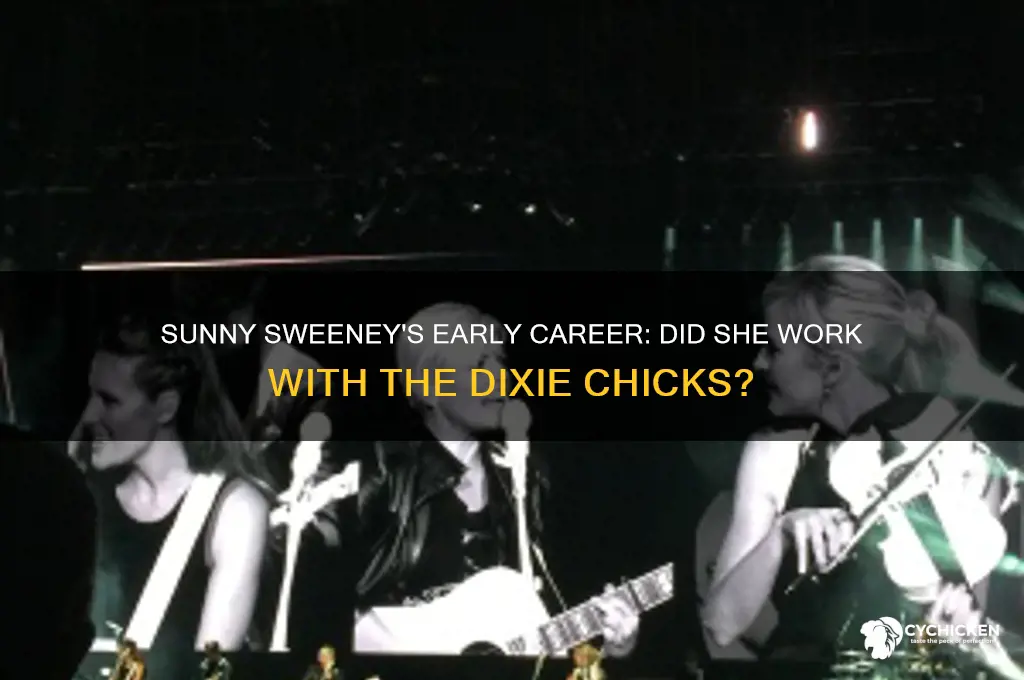 did sunny sweeney work at the dixie chicks