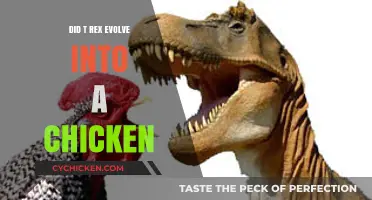 Did T-Rex Evolve into Chickens? Unraveling the Dinosaur-Bird Mystery