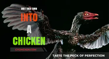From T-Rex to Chicken: Unraveling the Dinosaur-Bird Evolution Mystery