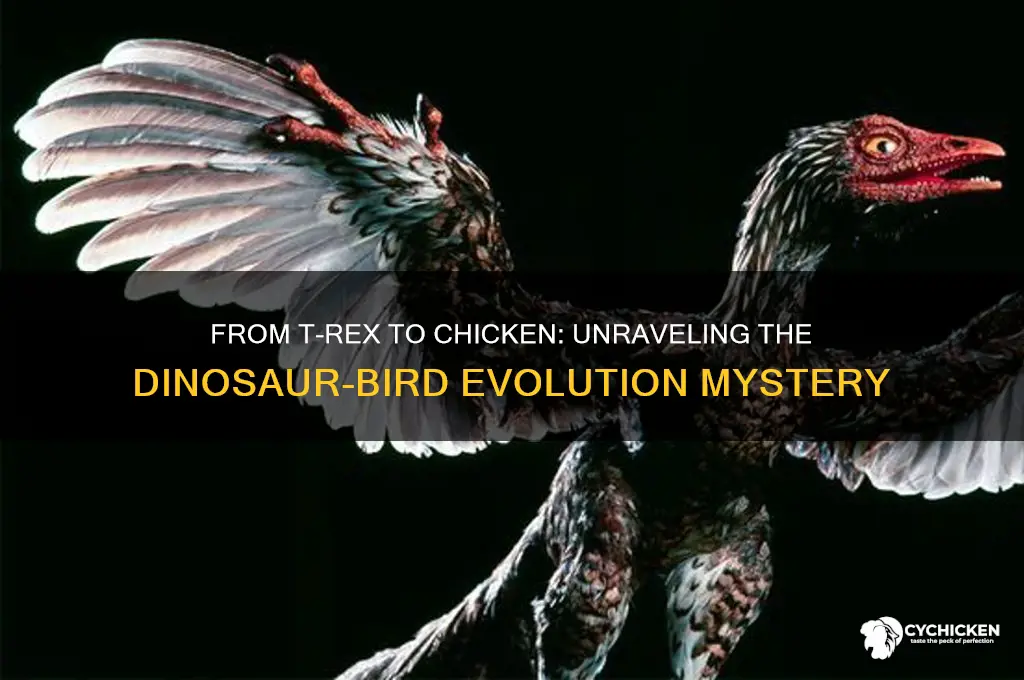 did t rex turn into a chicken