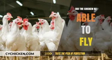 Can Chickens Fly? Uncovering the Truth About Their Winged Abilities
