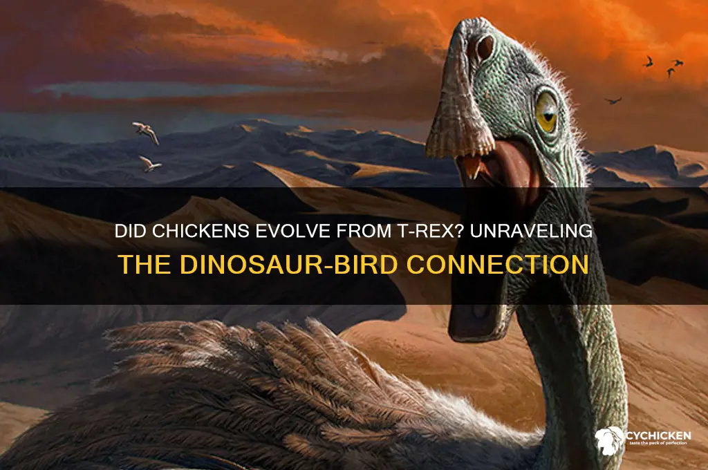 did the chicken come from the t rex