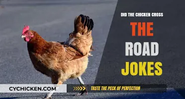 Why Did the Chicken Cross the Road? Hilarious Jokes Explained