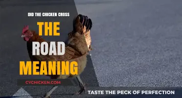 Why Did the Chicken Cross the Road? Unraveling the Joke's Hidden Meaning