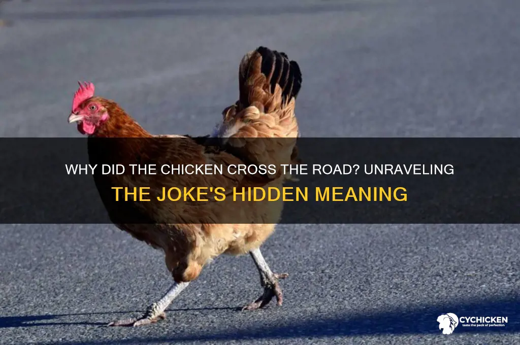 did the chicken cross the road meaning