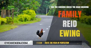 Modern Family's Reid Ewing: Why the Chicken Crossed the Road
