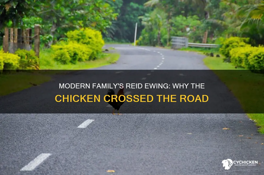 did the chicken cross the road modern family reid ewing
