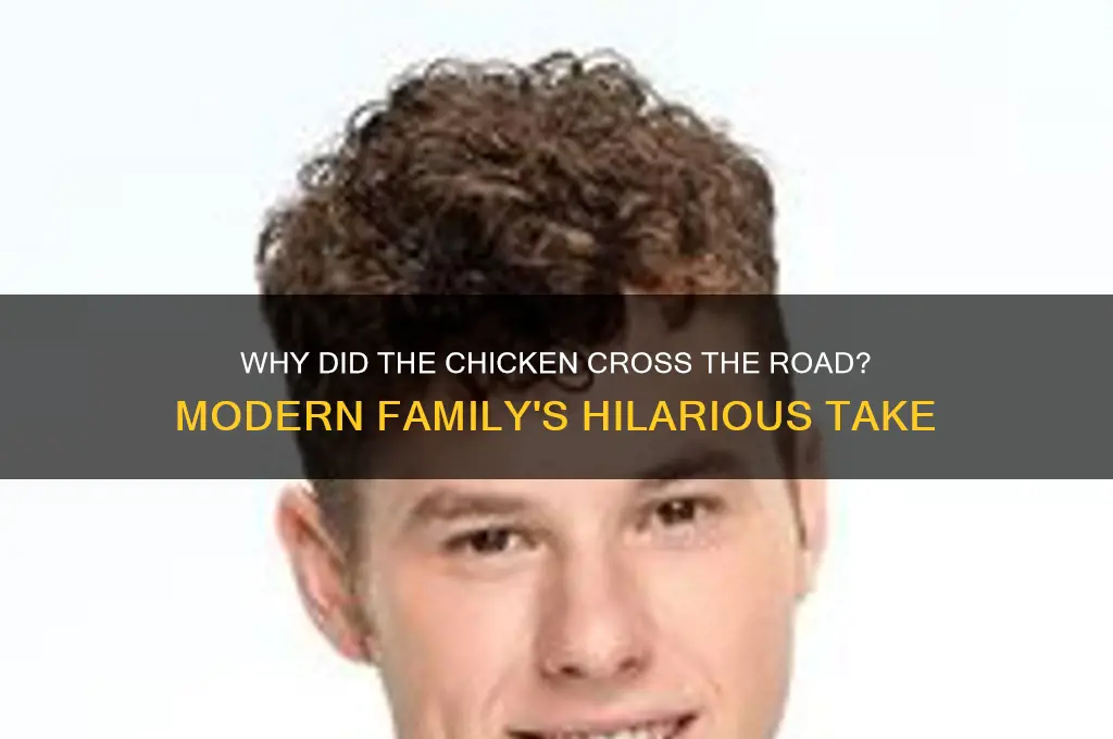 did the chicken cross the road modern family