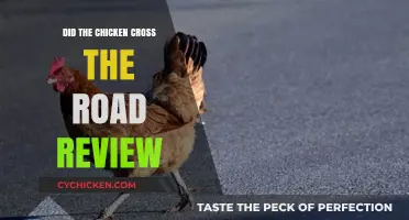 Why Did the Chicken Cross the Road? A Hilarious Review