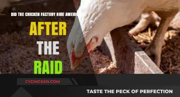 Hiring Americans: Post-Raid Changes in Chicken Factories