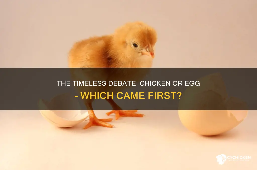 did the chicken or eff come first