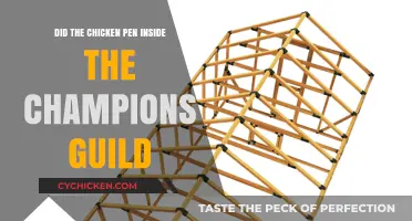 Did the Chicken Pen Inside the Champions' Guild? Unraveling the Mystery