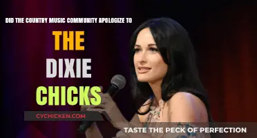 Country Music's Apology: Dixie Chicks' Redemption
