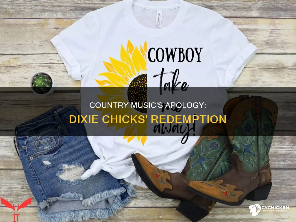 did the country music community apologize to the dixie chicks
