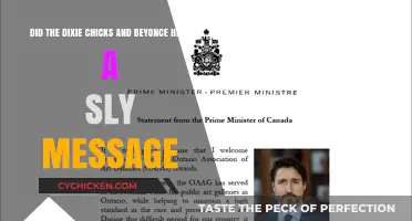 Dixie Chicks and Beyonce: A Sly Message?