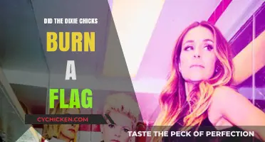 Dixie Chicks Flag Burning Controversy: Unraveling the Truth Behind the Incident