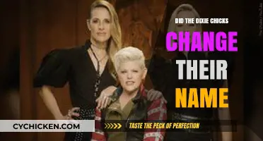 Why the Dixie Chicks Rebranded: Unraveling the Name Change Controversy