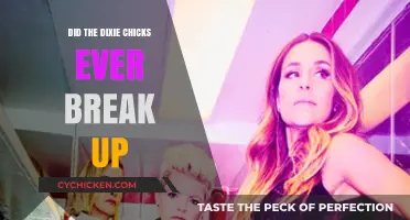 Did the Dixie Chicks Ever Break Up? The Truth Revealed