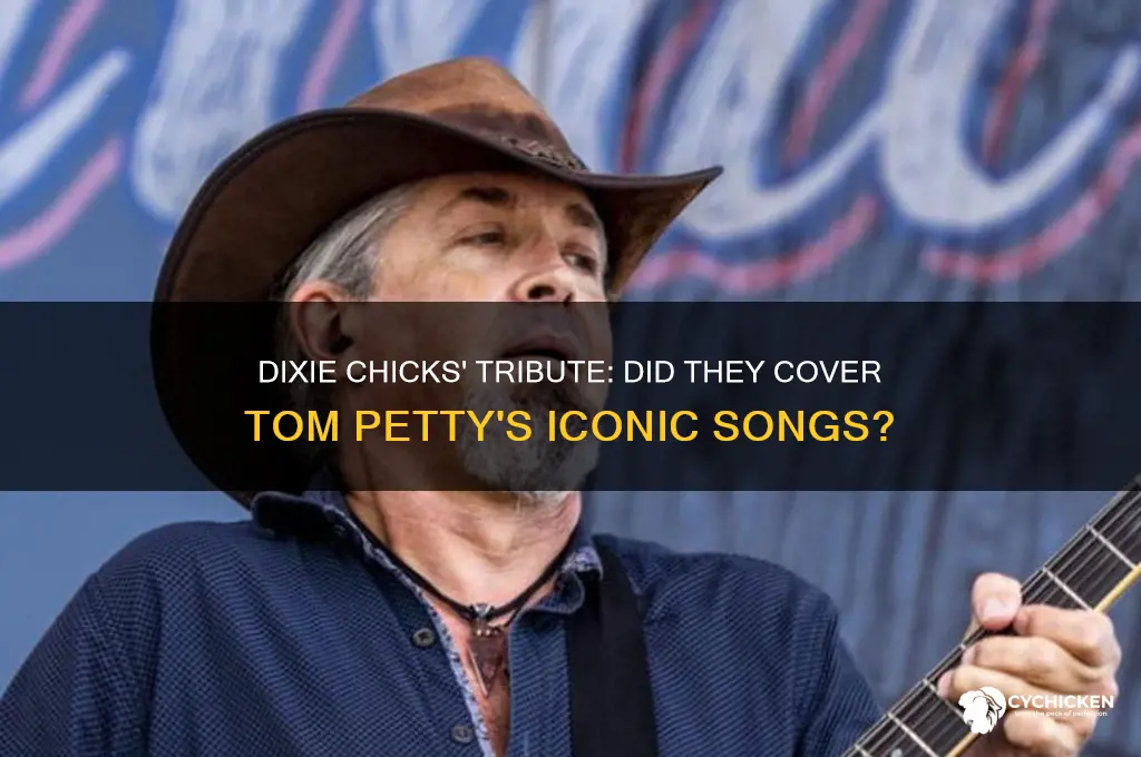 did the dixie chicks ever cover tom petty