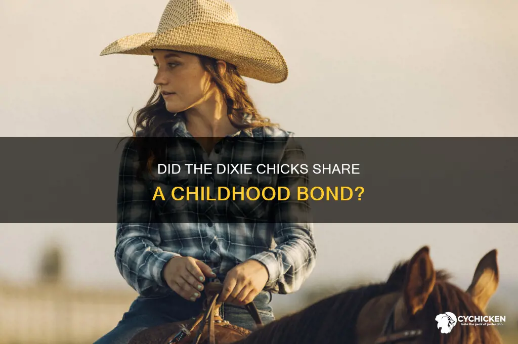 did the dixie chicks grow up together