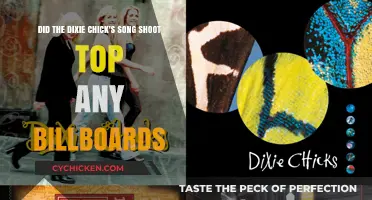 Dixie Chicks' Billboard Success: Did They Top the Charts?