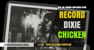 Did the Doobie Brothers Ever Record Dixie Chicken?