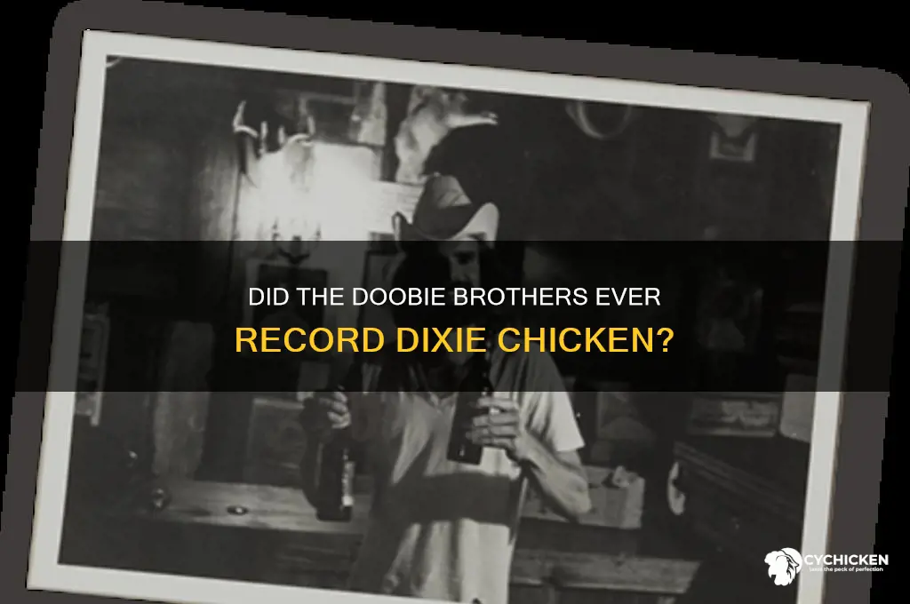 did the doobie brothers ever record dixie chicken