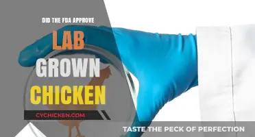FDA Approves Lab-Grown Chicken: A New Era in Food Technology