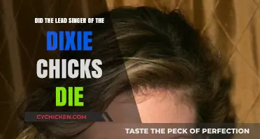 The Dixie Chicks: Rumors of Lead Singer's Death