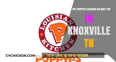 Popeyes Chicken on Watt Road: Worth the Visit?