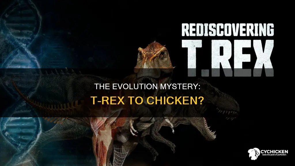 did the t rex actually evolve into a chicken