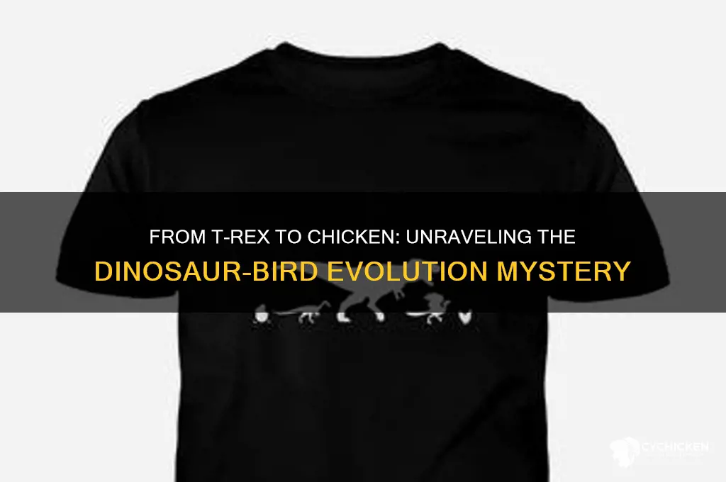 did the t rex evolve into a chicken