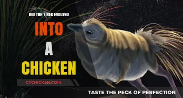 Did the T-Rex Evolve into Chickens? Unraveling the Dinosaur-Bird Link