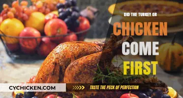 Turkey vs. Chicken: Unraveling the Ancient Origins of Poultry