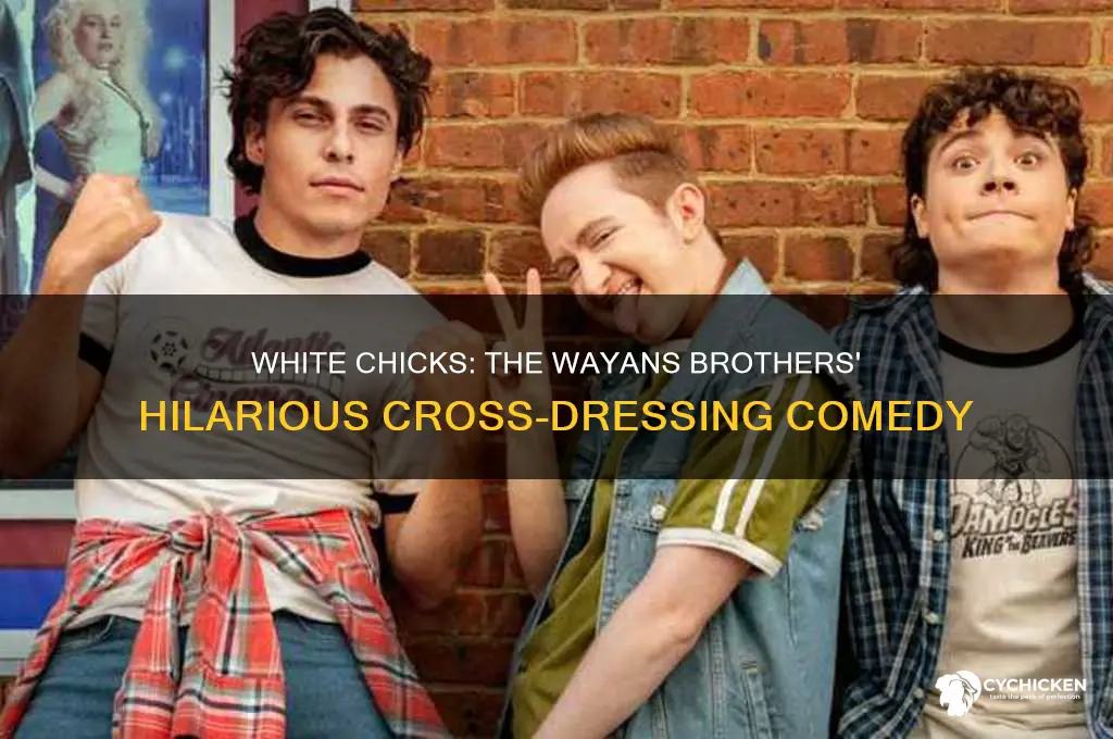 did the wayans brothers dressed as white chicks