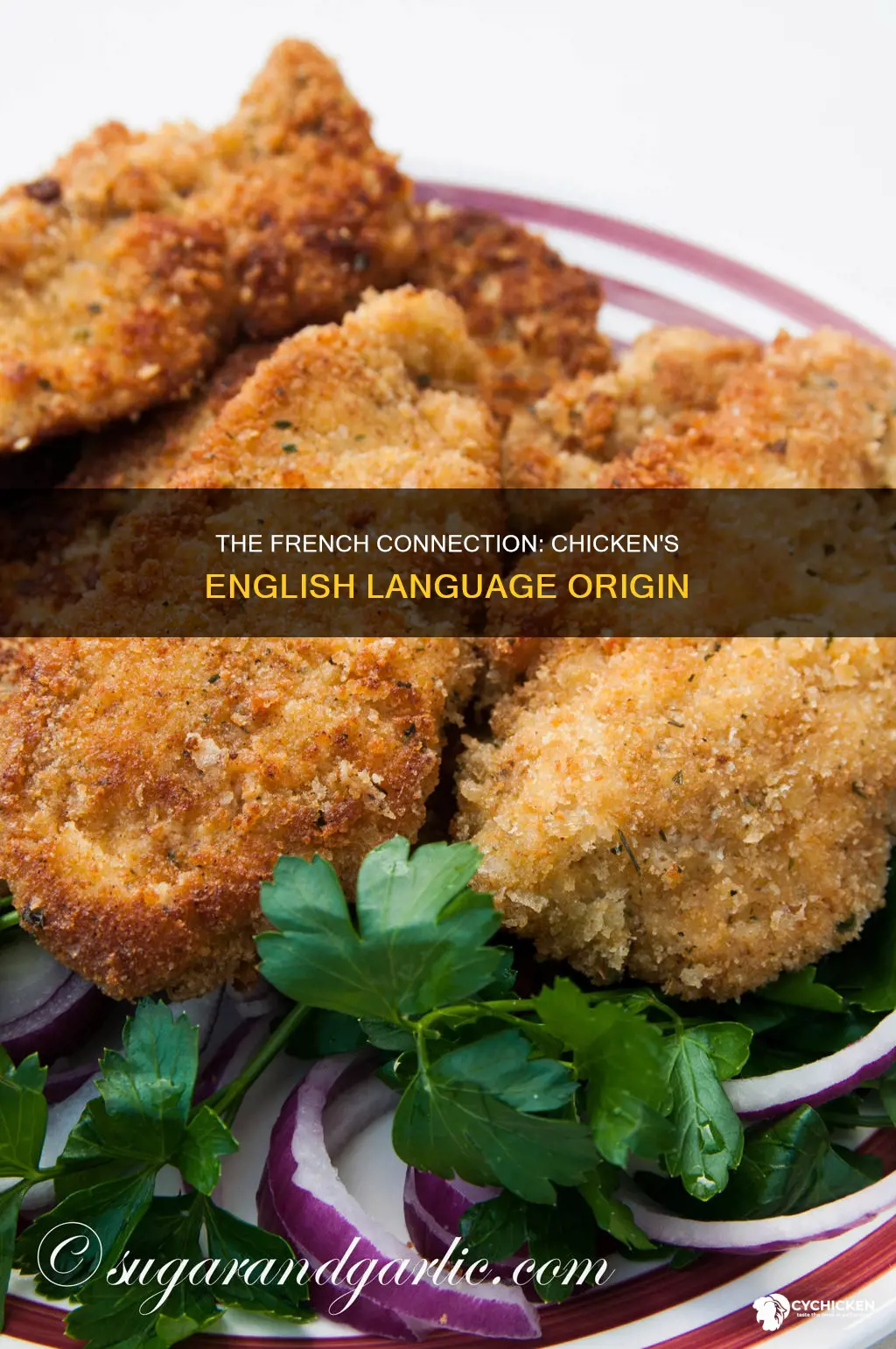 did the word chicken come into english from french