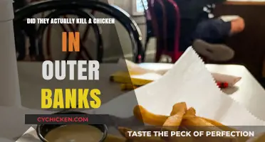 Outer Banks: Did They Really Kill a Chicken?