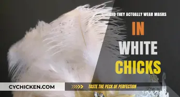 White Chicks' Mask Mystery: Fact or Fiction?