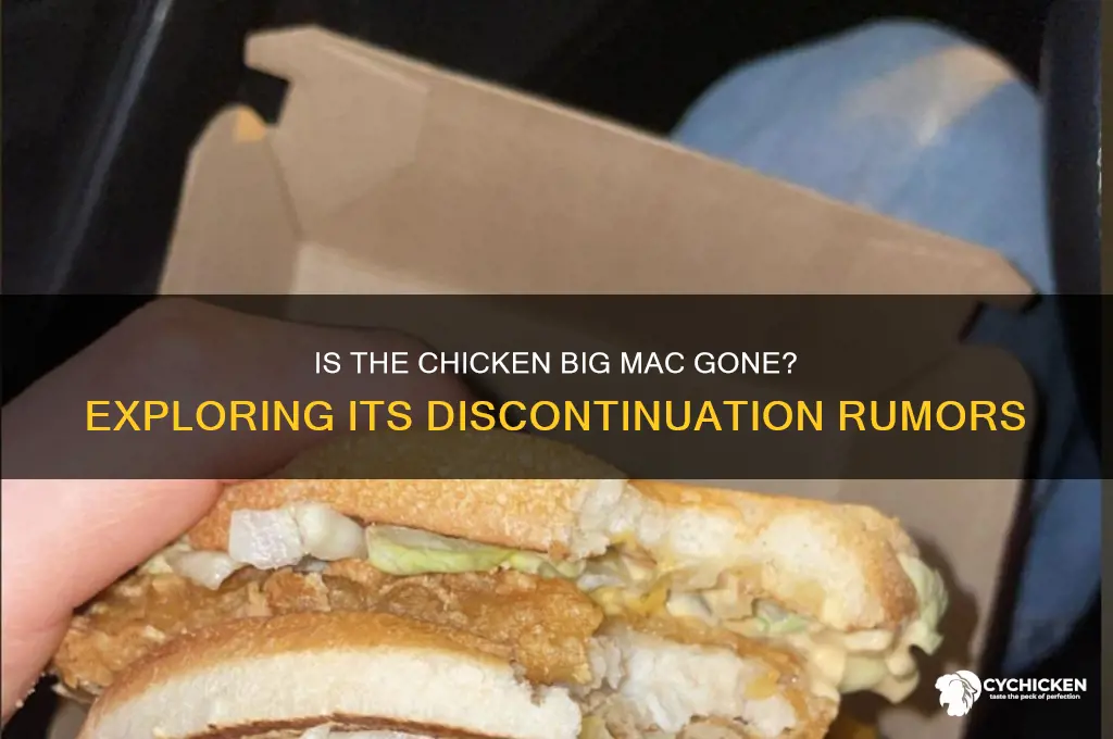 did they discontinue the chicken big mac